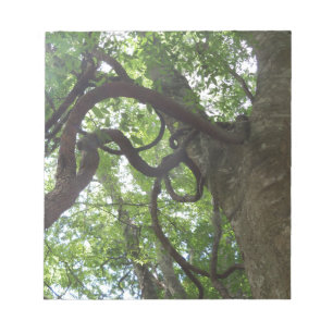 alte Weinreben in Baumkronen Notizblock