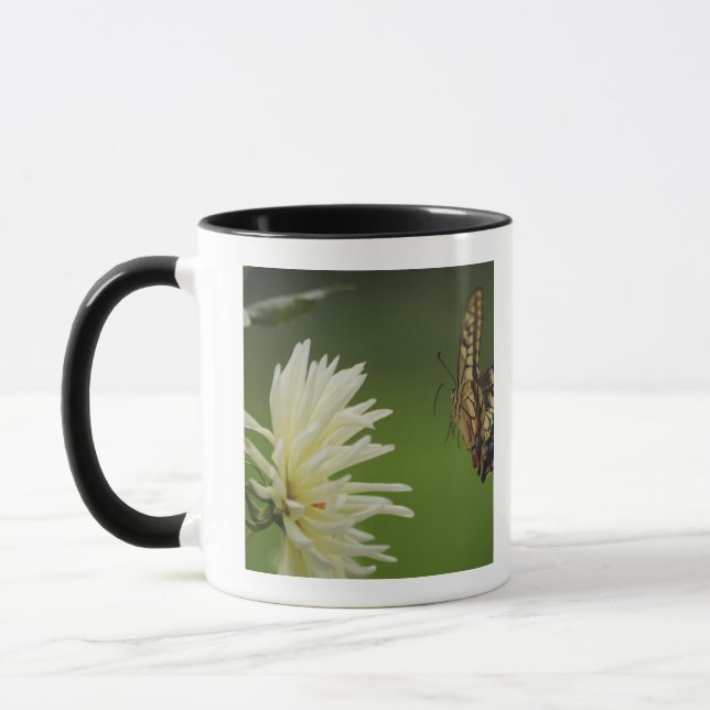 Alte WeltFrack-Fliegen Tasse (Links)