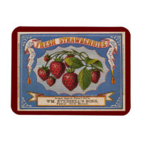 Alte Werbung für frische Erdbeeren um 1868 Postc