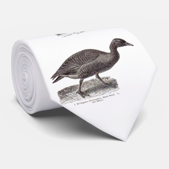 Alte Wildgans-Wildgans Krawatte (Gerollt)