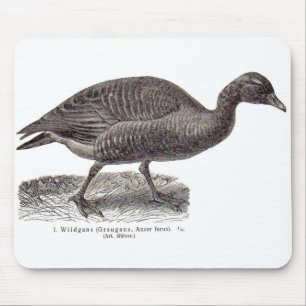 Alte Wildgans-Wildgans Mousepad