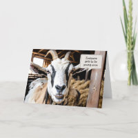 Alte Ziege zum Alten Geburtstag