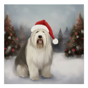 Altenglischer Schäferhund im Schnee Weihnachten Poster