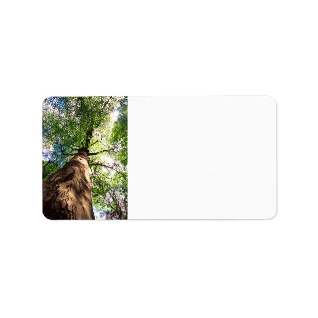 Altenwaldbaum Adressaufkleber (Vorne)