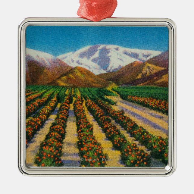 Alter Baldy Berg von den orange Waldungen Silbernes Ornament (Vorne)