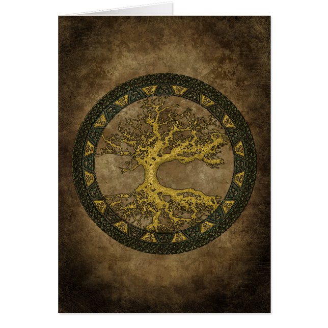 Alter Baum (Vorne)
