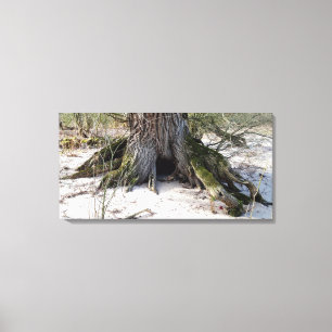 Alter Baum am Flussufer, Strandleben Leinwanddruck