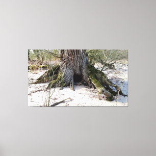 Alter Baum am Flussufer, Strandleben Leinwanddruck