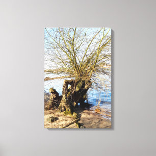 Alter Baum am Flussufer, Strandleben Leinwanddruck