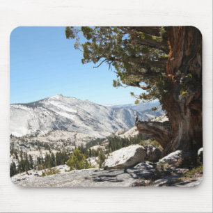 Alter Baum an Yosemite Nationalpark Mousepad
