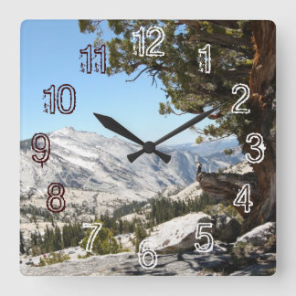 Alter Baum an Yosemite Nationalpark Quadratische Wanduhr