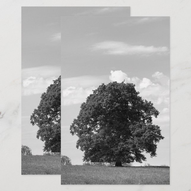 Alter Baum Briefpapier (Vorne/Hinten)