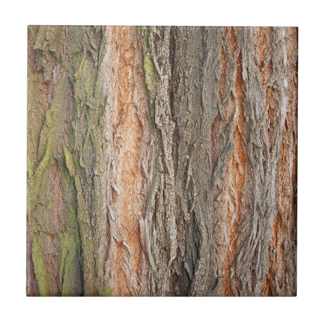 alter Baum Fliese (Vorderseite)