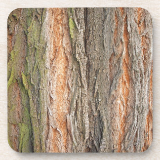 alter Baum Getränkeuntersetzer