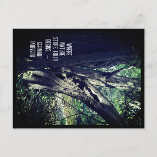 Alter Baum im Wald & deutsche Sprichwort Postkarte