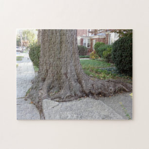 Alter Baum und Wurzeln Schaden Sidewalk JigSaw Puz