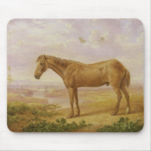 Alter Billy, ein Entwurfs-Pferd, gealtert 62 (Öl Mousepad
