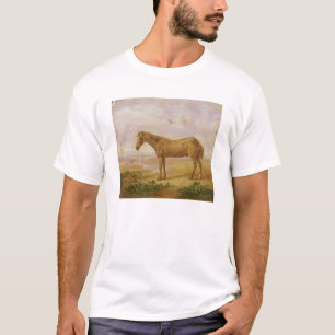 Alter Billy, ein Entwurfs-Pferd, gealtert 62 (Öl T-Shirt