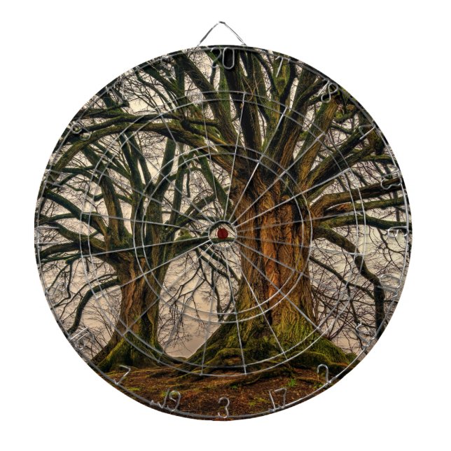 Alter Eichenbaum im Winter Dartscheibe (vorne)