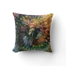 Alter Eichenbaum......