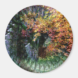 Alter Eichenbaum....... Magnet