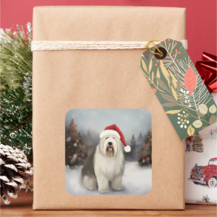 Alter Englischer Schäferhund im Schnee Weihnachten Quadratischer Aufkleber