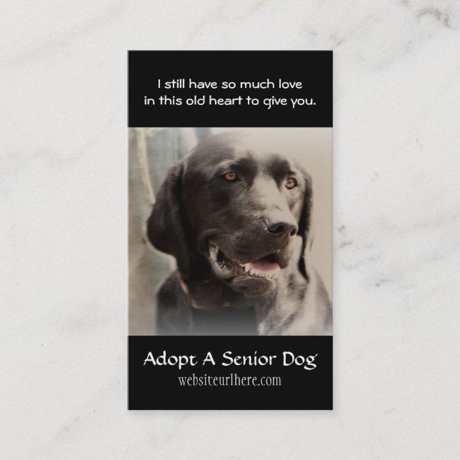 Alter Hundetierrettungs-Visitenkarte Visitenkarte (Vorderseite)