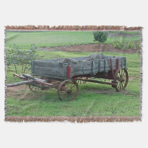 Alter Landwagen auf einem Schilf Decke