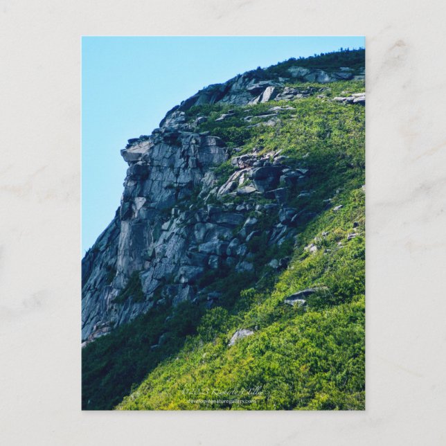 Alter Mann des Berges, Sommer, P2279 Postkarte (Vorderseite)