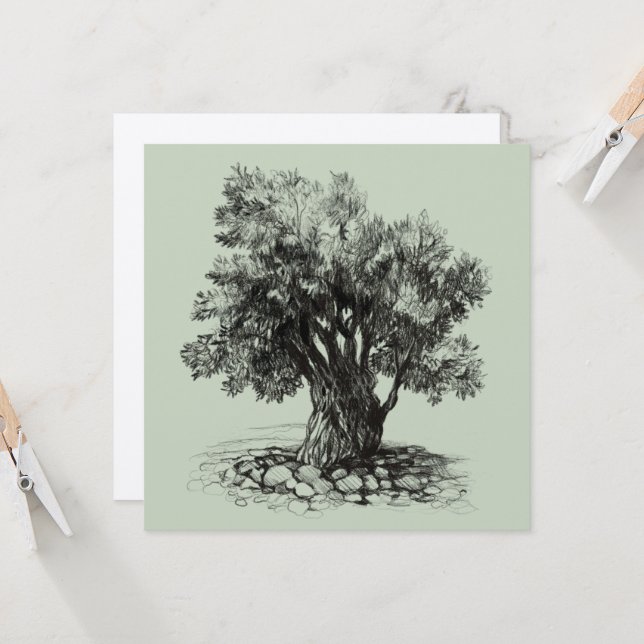 Alter Olivenbaum (Vorderseite/Rückseite Beispiel)