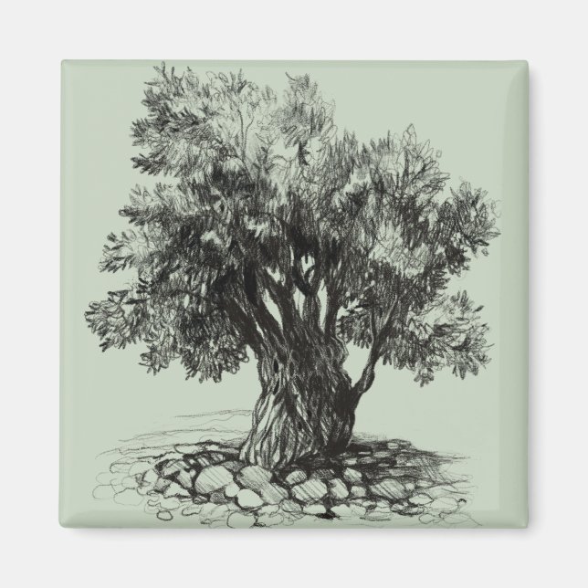 Alter Olivenbaum Magnet (Vorne)