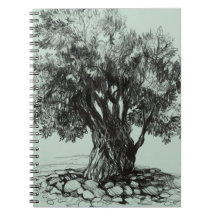 Alter Olivenbaum