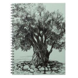 Alter Olivenbaum Notizblock