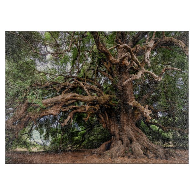 Alter Olivenbaum rustikal Schneidebrett (Vorderseite)