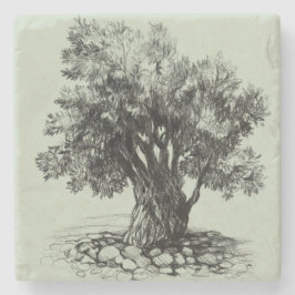 Alter Olivenbaum Steinuntersetzer