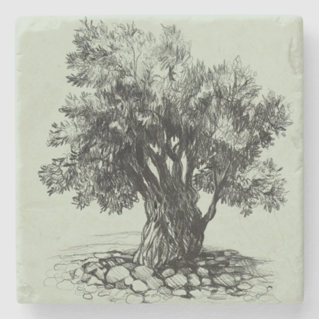 Alter Olivenbaum Steinuntersetzer (Vorderseite)