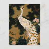 Alter Pine Tree und Pfau von Ito Jakuchu