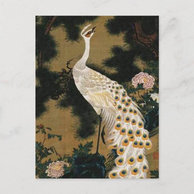 Alter Pine Tree und Pfau von Ito Jakuchu Postkarte (Vorderseite)