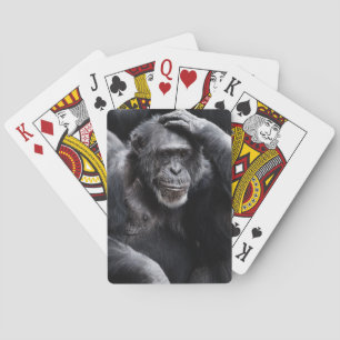 Alter Schimpanse spielt Karten Spielkarten