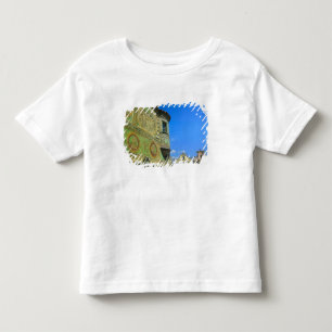 Alter Stadtplatz umgeben von Renaissancehäusern au Kleinkind T-shirt