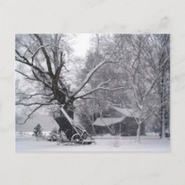 Alter Stall & Eichenbaum im Foto des Winterschnees Postkarte