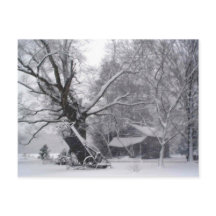 Alter Stall & Eichenbaum im Foto des Winterschnees