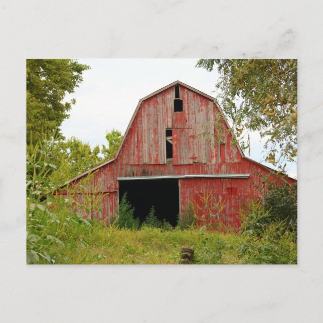 Alter Stall Postkarte (Vorderseite)