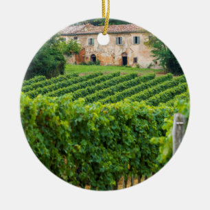 Alter Toskanischer Weinberg und Villa Keramik Ornament