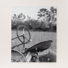 Alter Traktor für Langgras