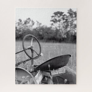 Alter Traktor für Langgras