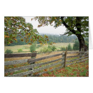 Alter Zaun auf einer Farm