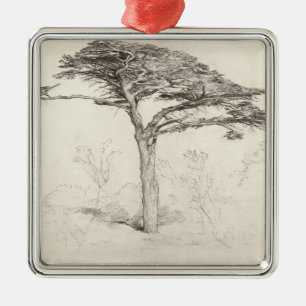 Alter Zedern-Baum im botanischen Garten, Chelsea, Silbernes Ornament
