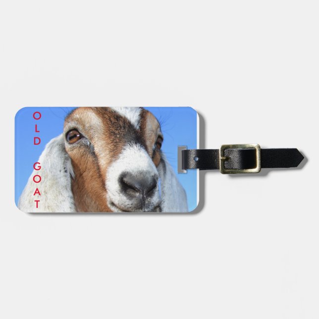 Alter Ziegen-Gepäckanhänger mit Lederband Gepäckanhänger (Vorderseite horizontal)