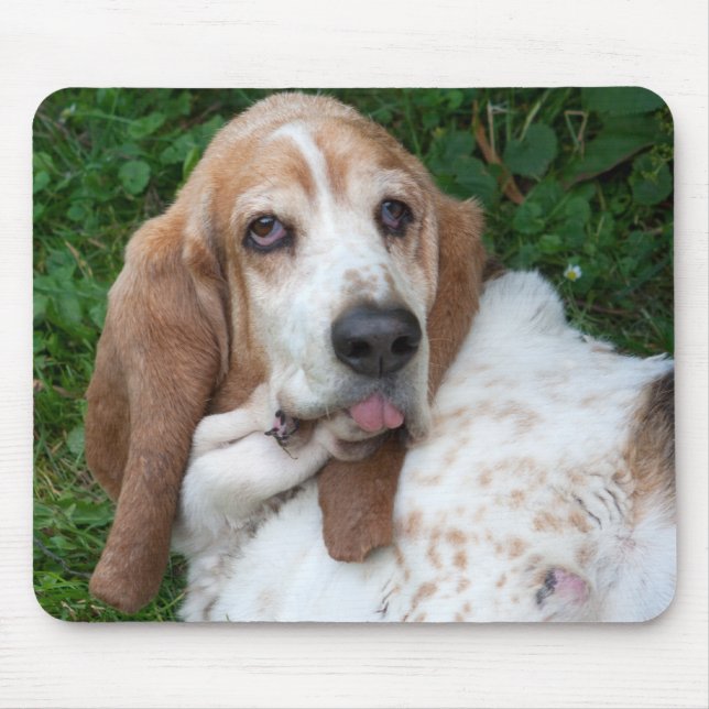 Ältere Basset Mousepad (Vorne)